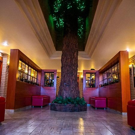 Hotel El Condor Cortazar Экстерьер фото